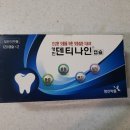 종로 5가 약국 영진약품 덴티나인 캡슐 통증 출혈 부기 발적 잇몸질환 보조 치료제 가격