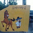 연화 이미지