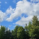 강남르시엘여성의원 이미지