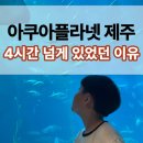 스카이항공여행사주 - 중구 국채보상로 540-1 | 제주도 아이랑 비 오는 날 딱 좋았던 곳, 제주아쿠아플라넷공연 후기