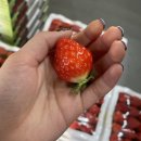 가덕농장 이미지