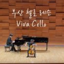 비바첼로스튜디오