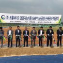 프롬주