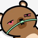 ENHYPEN BLOOD SAGA 첫콘 막콘 다녀온 후기