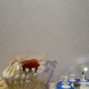 친절한홍치과의원 이미지