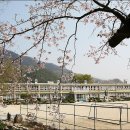 병곡초등학교 이미지