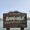 고성 삼산면 보리섬 진달래 산행. 2024. 03. 29. 이미지