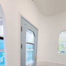 모모애견샵 이미지