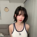 마젠타