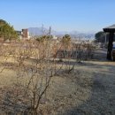 운심농장 이미지