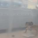 에스엠수학과학학원