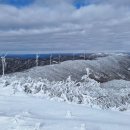 199차 태기산(1,261m) 설경산행 이미지