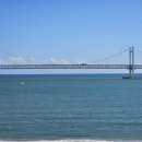 손가네 정육식당 이미지