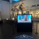 한라산천연보호구역 | [대전] 대전 천연기념물 센터 : 실내 데이트 아이랑 가볼 만한 곳 주차장 입장료 관람 후기