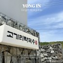 용인 고기리막국수 주말 오픈런 후기, 웨이팅 시간부터 대기 꿀팁까지 총정리