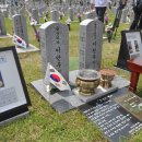 형제자원 이미지