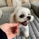 율츄'S 이미지
