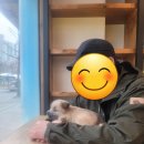 해태동물병원 이미지