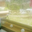 청평옆집언니 이미지