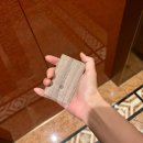 피트니스 월드 | 서울 잠실 롯데호텔월드 피트니스센터 헬스장 이용 후기
