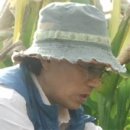 야곱의농장 이미지