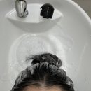 요들가운 | 소비일기; 스물유 홍대 하이 레이어드 컷 C컬펌 후기 (홍대/상수 신상 미용실, 오픈이벤트)