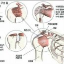 맨투맨휘트니스 이미지