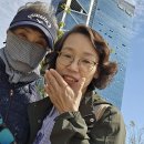 내가 많이 사용하는 도구는? 이미지