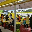 옐로우에너지 네이버블로그