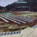 라온부동산중개사무소 이미지