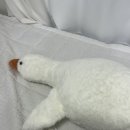 왕창뽑기방 이미지