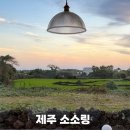 소소링제주2 이미지