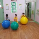 공굴리기 Daum카페