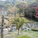 더 풍류