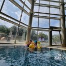 휘닉스 실외수영장 이미지