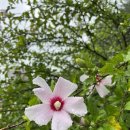 도피오커피 일산백병원점(이마트24) | 아이와 가볼만한 천안독립기념관 체험전시관 해설 예약방법 부터 주차 식당까지