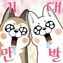 썬플라워하우스 이미지