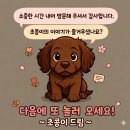 제33회 전국국악경연대회 개최 | 🎶 함맘오오 함께 즐기는 시흥예술의 향연! 제33회 물왕예술제 비둘기공원 목감산현공원 주말 나들이...