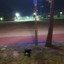 포동체육공원 이미지