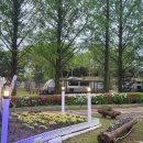 여주 마조렐글램핑리조트 이미지