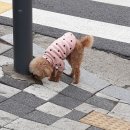 학익1동 행정복지센터 이미지