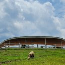 가평 양떼목장 이미지