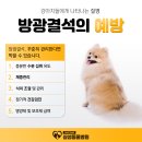 양구동물병원