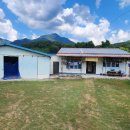 텃밭공인중개사사무소 이미지