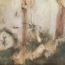 매산리 | 매산리사신총(梅山里四神塚) 백호(白虎)와 수렵(狩獵)