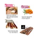 정글브로
