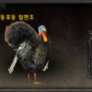 보드게임 타고 그림책 여행 이미지