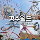 휠체어 타는 사람들 | 경주월드 평일 후기 무서운 놀이기구 드라켄 타임라이더 스콜앤하티