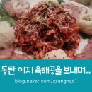 이지육해공 이미지