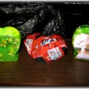 대전종합 동물병원 이미지